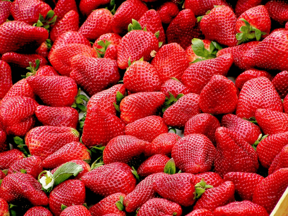 新鮮的草莓是各位在製作草莓乳酪蛋糕時不可或缺的元素／圖取自 Pexels